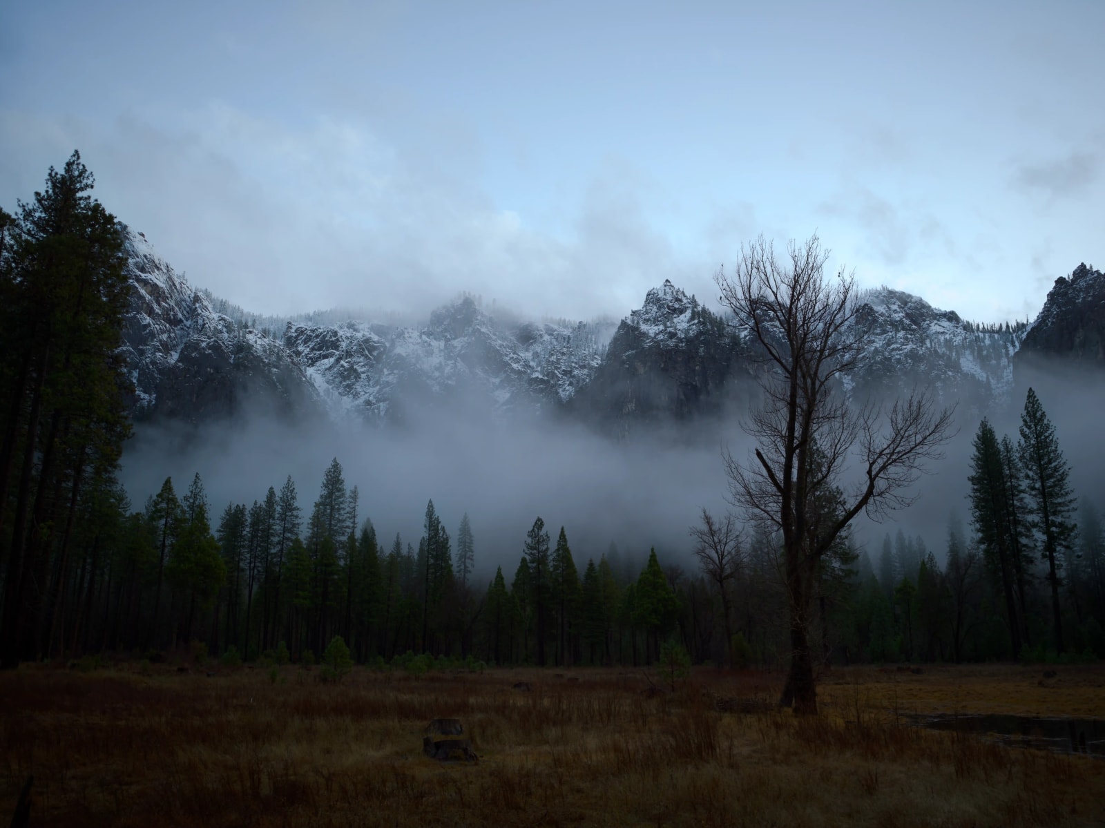Misty Meadow, Yosemite, California, by Aashutosh Vyas