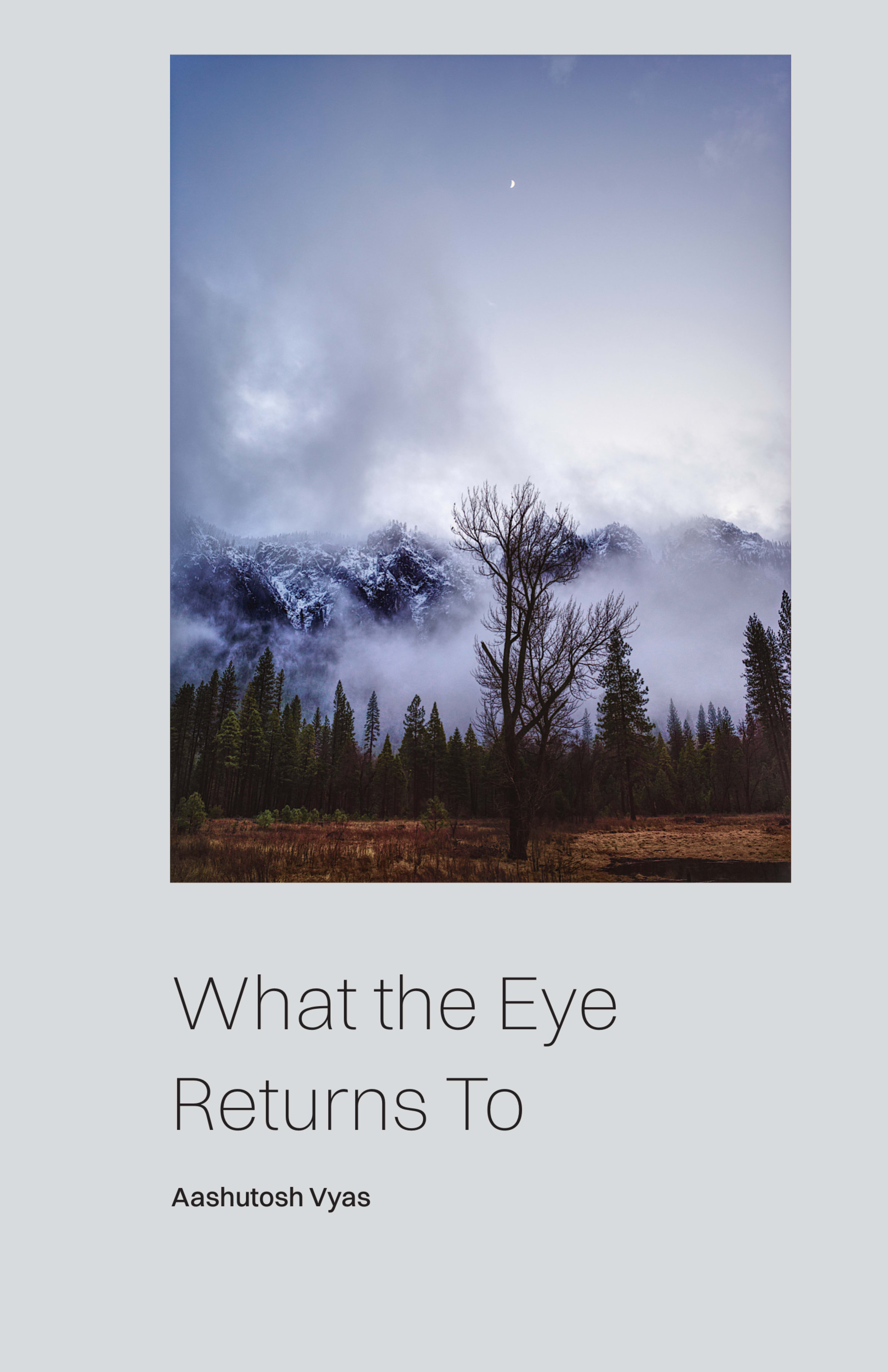 What the Eye Returns To by Aashutosh Vyas